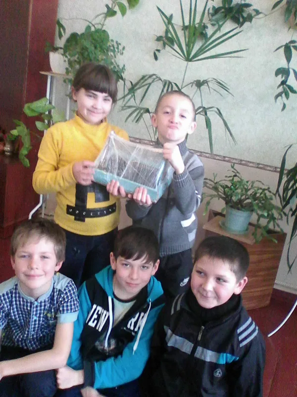 Фотозвіт "Теплиця на моєму підвіконні"   (Проект)